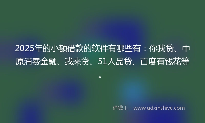 2025年的小额借款的软件有哪些有：你我贷、中原消费金融、我来贷、51人品贷、百度有钱花等。