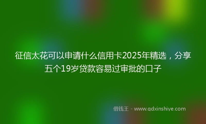 征信太花可以申请什么信用卡2025年精选，分享五个19岁贷款容易过审批的口子