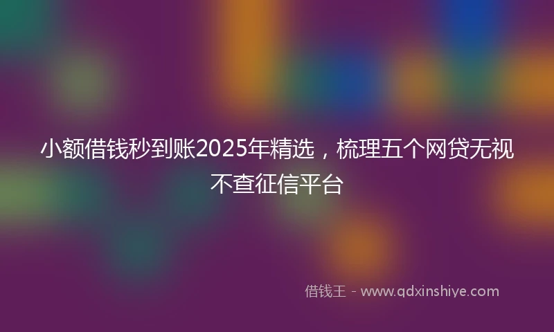 小额借钱秒到账2025年精选，梳理五个网贷无视不查征信平台