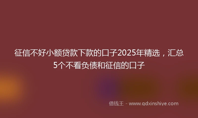 征信不好小额贷款下款的口子2025年精选，汇总5个不看负债和征信的口子