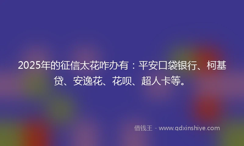 2025年的征信太花咋办有：平安口袋银行、柯基贷、安逸花、花呗、超人卡等。