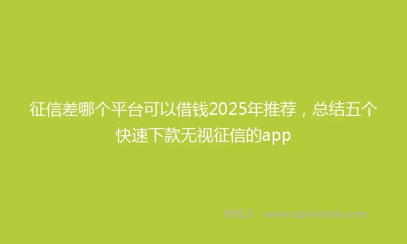 征信差哪个平台可以借钱2025年推荐，总结五个快速下款无视征信的app