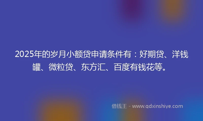 2025年的岁月小额贷申请条件有：好期贷、洋钱罐、微粒贷、东方汇、百度有钱花等。