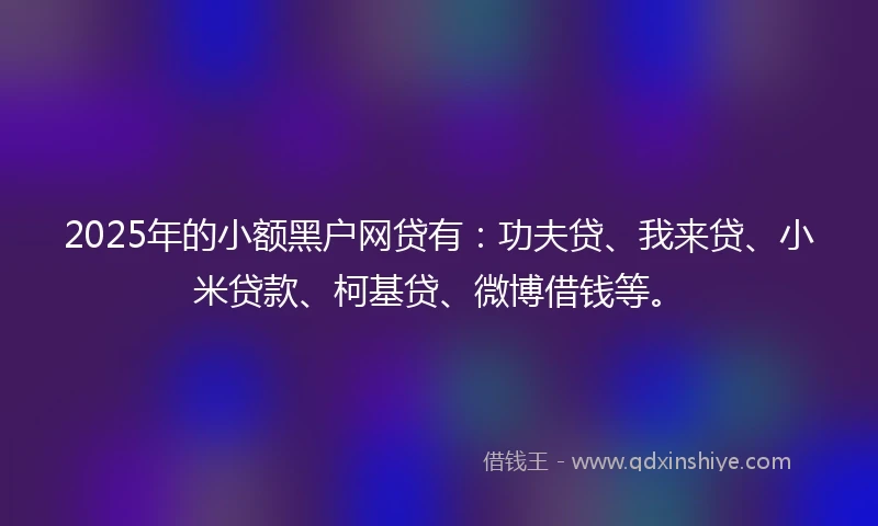 2025年的小额黑户网贷有:功夫贷、我来贷、小米贷款、柯基贷、微博借钱等。