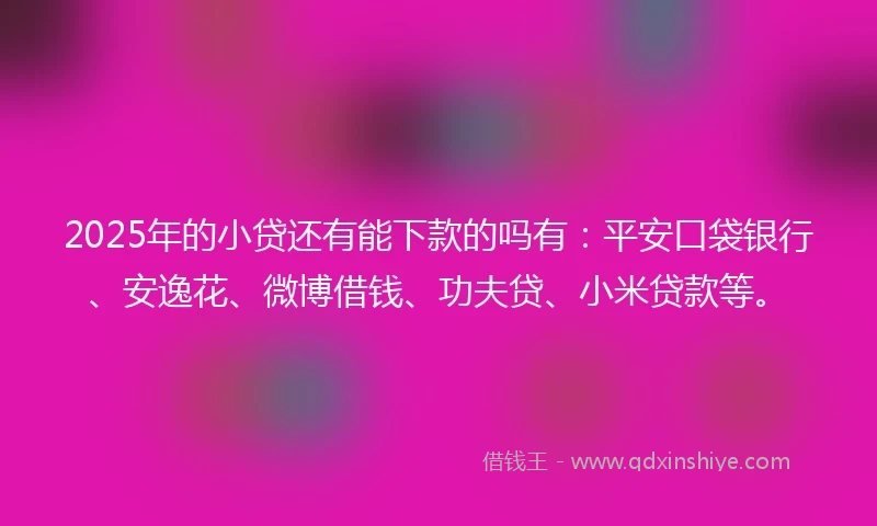 2025年的小贷还有能下款的吗有：平安口袋银行、安逸花、微博借钱、功夫贷、小米贷款等。