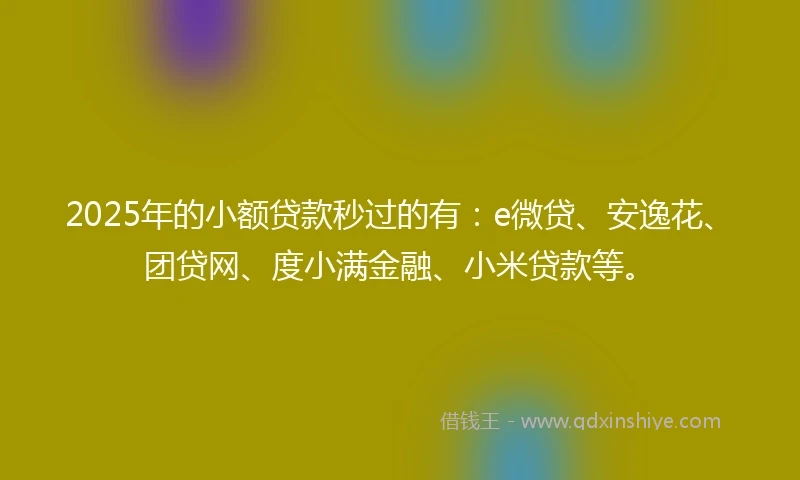 2025年的小额贷款秒过的有：e微贷、安逸花、团贷网、度小满金融、小米贷款等。