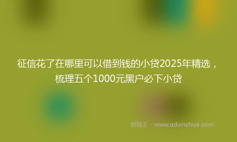 征信花了在哪里可以借到钱的小贷2025年精选，梳理五个1000元黑户必下小贷