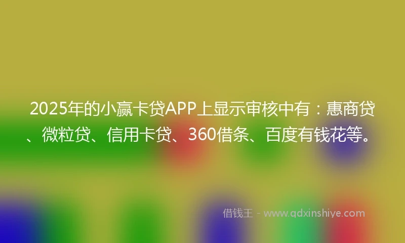2025年的小赢卡贷APP上显示审核中有：惠商贷、微粒贷、信用卡贷、360借条、百度有钱花等。