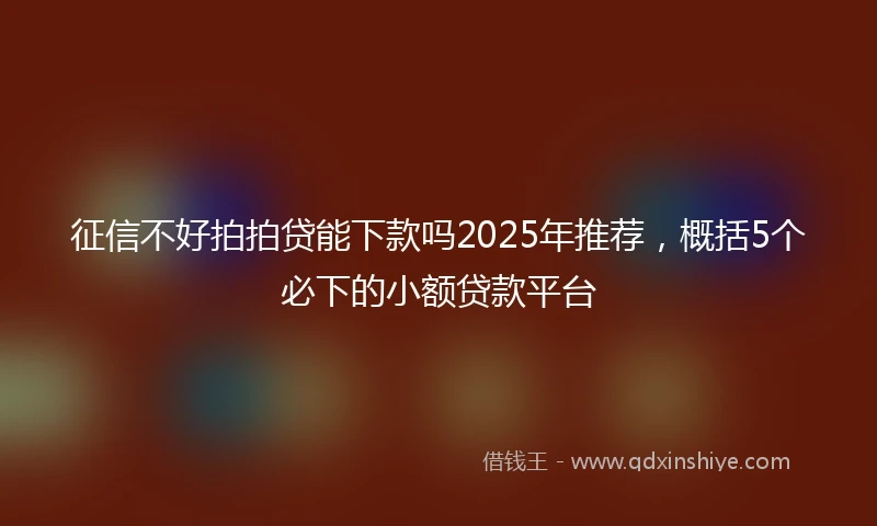 征信不好拍拍贷能下款吗2025年推荐，概括5个必下的小额贷款平台