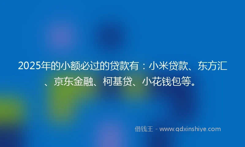 2025年的小额必过的贷款有：小米贷款、东方汇、京东金融、柯基贷、小花钱包等。