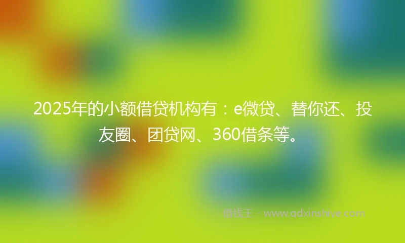 2025年的小额借贷机构有：e微贷、替你还、投友圈、团贷网、360借条等。