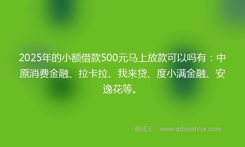 2025年的小额借款500元马上放款可以吗有：中原消费金融、拉卡拉、我来贷、度小满金融、安逸花等。