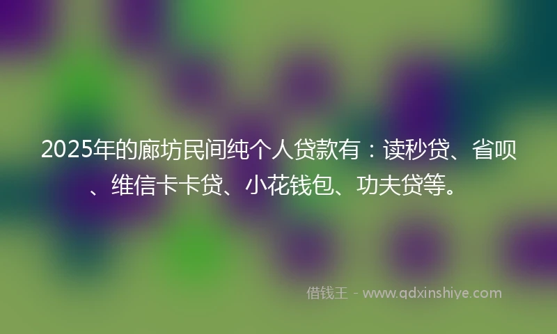 2025年的廊坊民间纯个人贷款有：读秒贷、省呗、维信卡卡贷、小花钱包、功夫贷等。