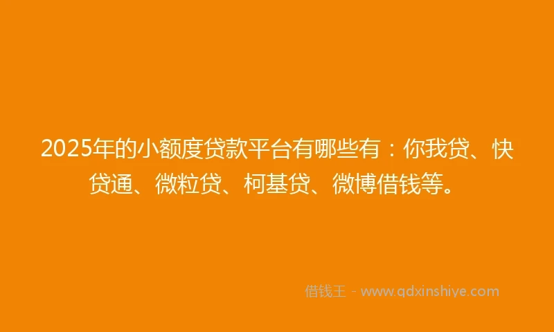 2025年的小额度贷款平台有哪些有：你我贷、快贷通、微粒贷、柯基贷、微博借钱等。