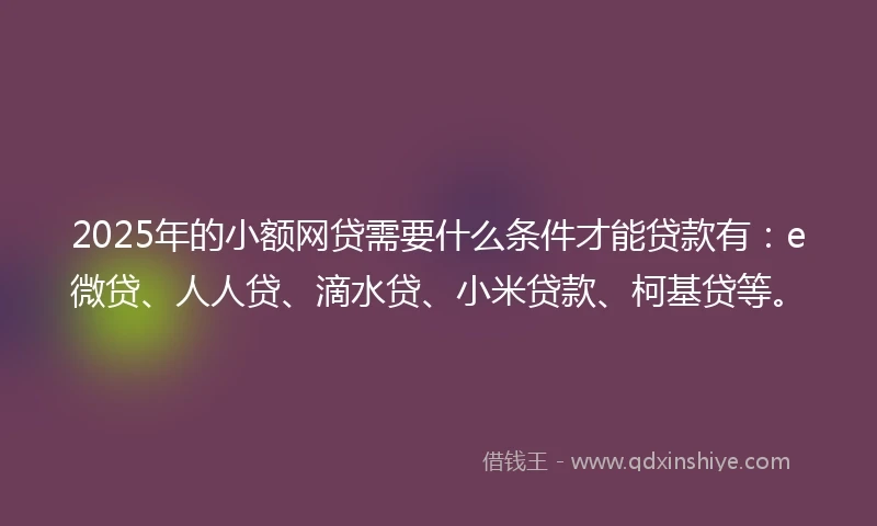 2025年的小额网贷需要什么条件才能贷款有：e微贷、人人贷、滴水贷、小米贷款、柯基贷等。
