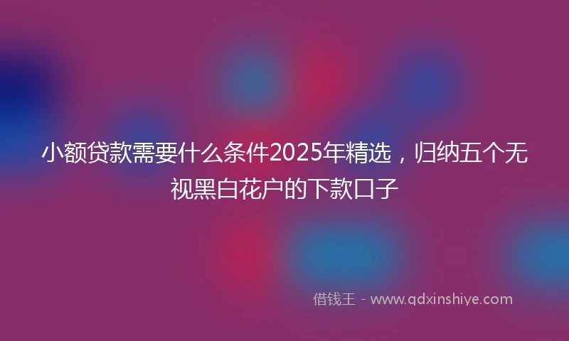 小额贷款需要什么条件2025年精选，归纳五个无视黑白花户的下款口子