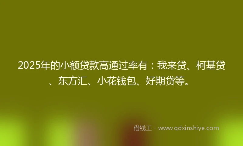 2025年的小额贷款高通过率有：我来贷、柯基贷、东方汇、小花钱包、好期贷等。