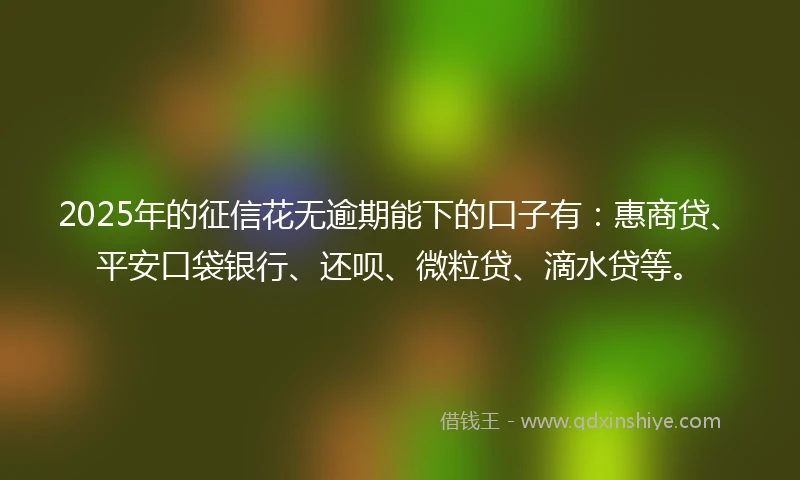 2025年的征信花无逾期能下的口子有：惠商贷、平安口袋银行、还呗、微粒贷、滴水贷等。