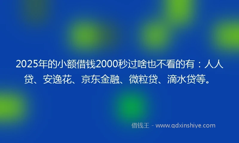 2025年的小额借钱2000秒过啥也不看的有：人人贷、安逸花、京东金融、微粒贷、滴水贷等。