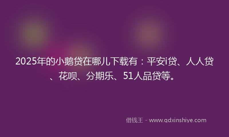 2025年的小鹅贷在哪儿下载有：平安i贷、人人贷、花呗、分期乐、51人品贷等。