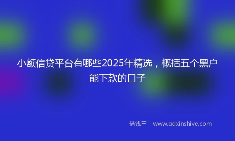 小额信贷平台有哪些2025年精选，概括五个黑户能下款的口子