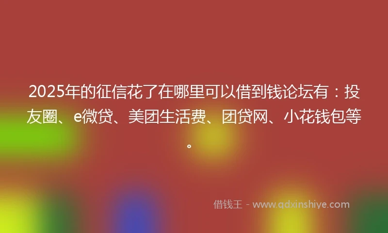 2025年的征信花了在哪里可以借到钱论坛有：投友圈、e微贷、美团生活费、团贷网、小花钱包等。