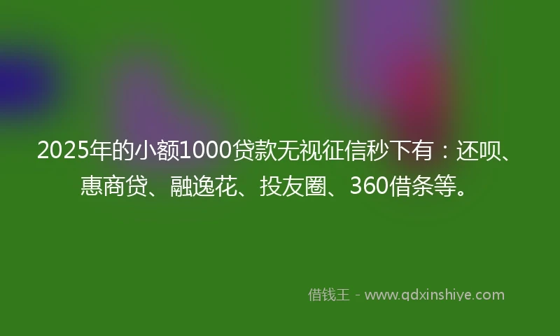 2025年的小额1000贷款无视征信秒下有：还呗、惠商贷、融逸花、投友圈、360借条等。