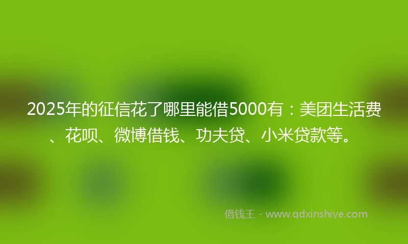 2025年的征信花了哪里能借5000有：美团生活费、花呗、微博借钱、功夫贷、小米贷款等。