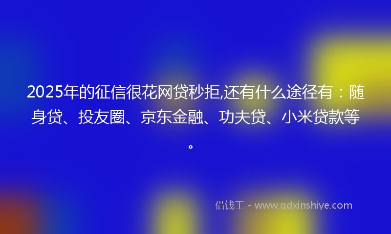 2025年的征信很花网贷秒拒,还有什么途径有:随身贷、投友圈、京东金融、功夫贷、小米贷款等。