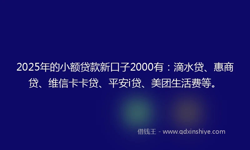 2025年的小额贷款新口子2000有：滴水贷、惠商贷、维信卡卡贷、平安i贷、美团生活费等。