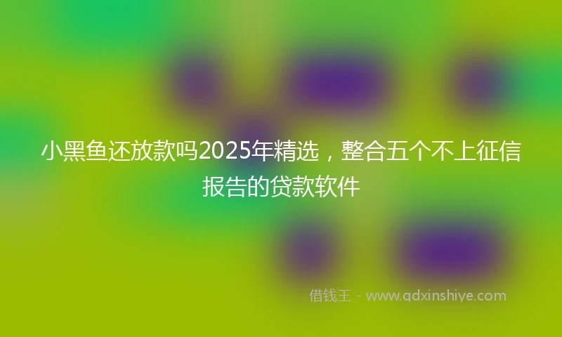 小黑鱼还放款吗2025年精选，整合五个不上征信报告的贷款软件