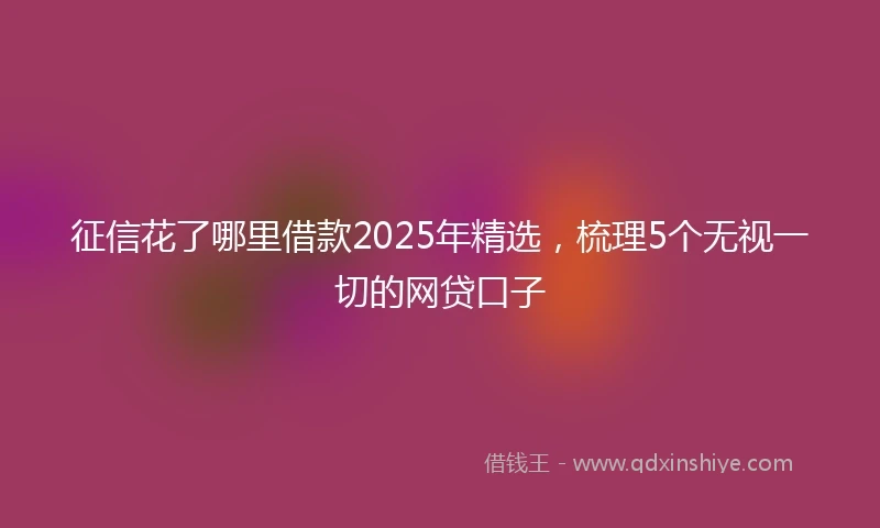征信花了哪里借款2025年精选，梳理5个无视一切的网贷口子