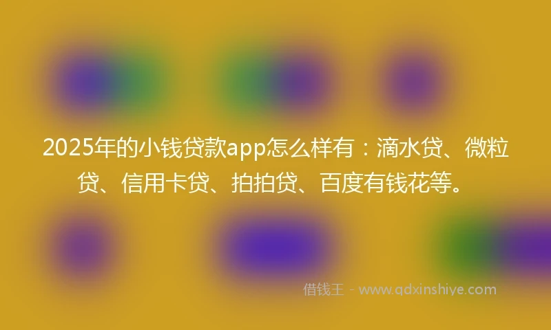 2025年的小钱贷款app怎么样有：滴水贷、微粒贷、信用卡贷、拍拍贷、百度有钱花等。