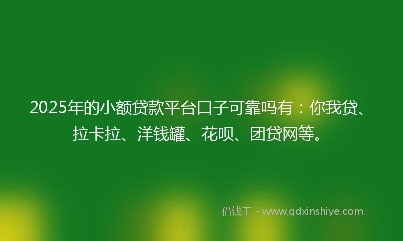2025年的小额贷款平台口子可靠吗有：你我贷、拉卡拉、洋钱罐、花呗、团贷网等。