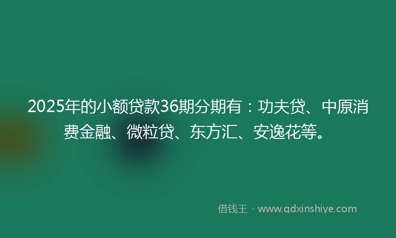 2025年的小额贷款36期分期有：功夫贷、中原消费金融、微粒贷、东方汇、安逸花等。