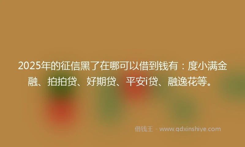 2025年的征信黑了在哪可以借到钱有：度小满金融、拍拍贷、好期贷、平安i贷、融逸花等。