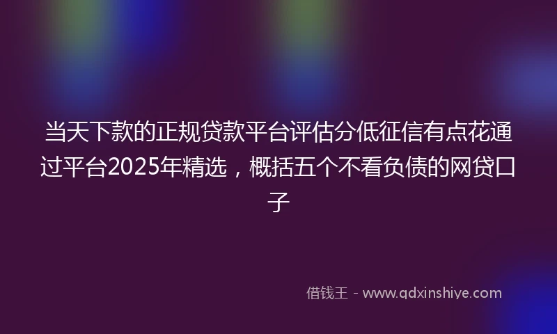当天下款的正规贷款平台评估分低征信有点花通过平台2025年精选，概括五个不看负债的网贷口子