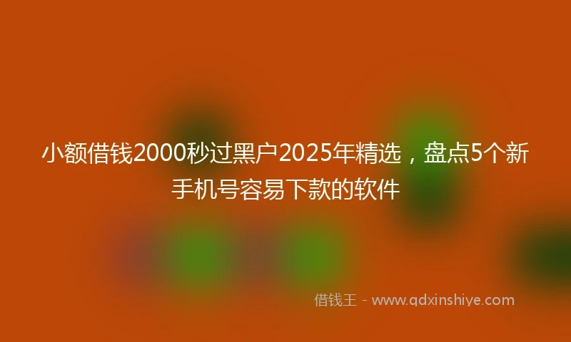 小额借钱2000秒过黑户2025年精选，盘点5个新手机号容易下款的软件