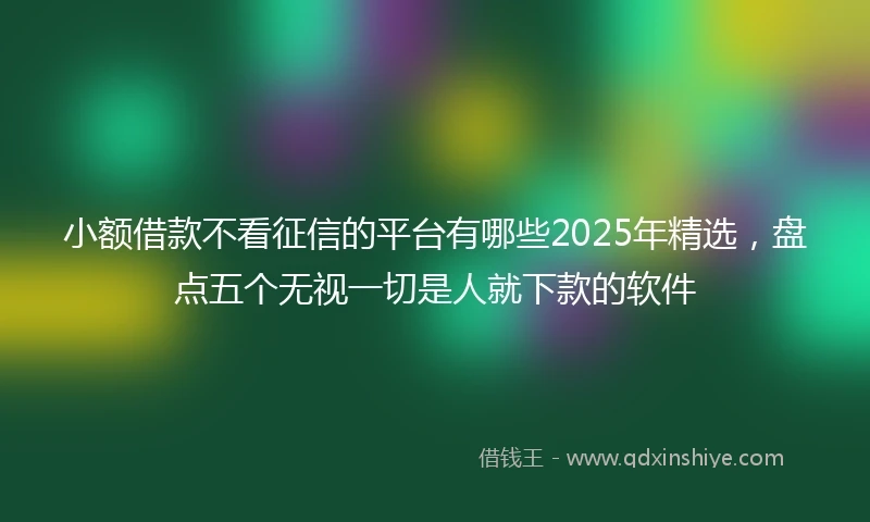小额借款不看征信的平台有哪些2025年精选，盘点五个无视一切是人就下款的软件