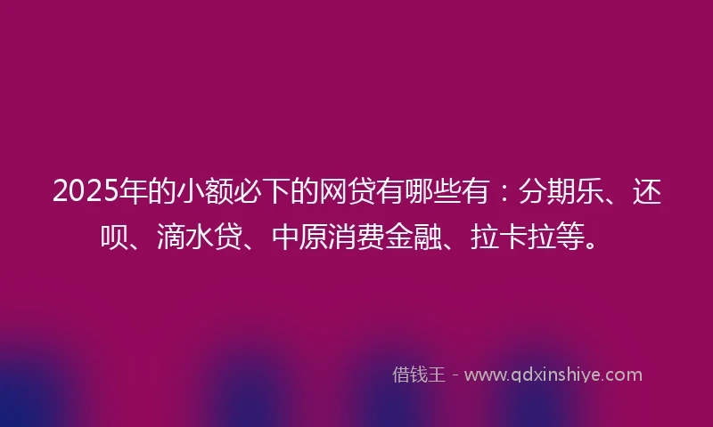 2025年的小额必下的网贷有哪些有：分期乐、还呗、滴水贷、中原消费金融、拉卡拉等。