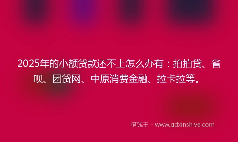 2025年的小额贷款还不上怎么办有：拍拍贷、省呗、团贷网、中原消费金融、拉卡拉等。