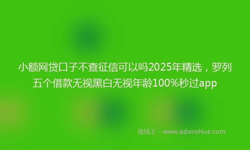 小额网贷口子不查征信可以吗2025年精选，罗列五个借款无视黑白无视年龄100%秒过app