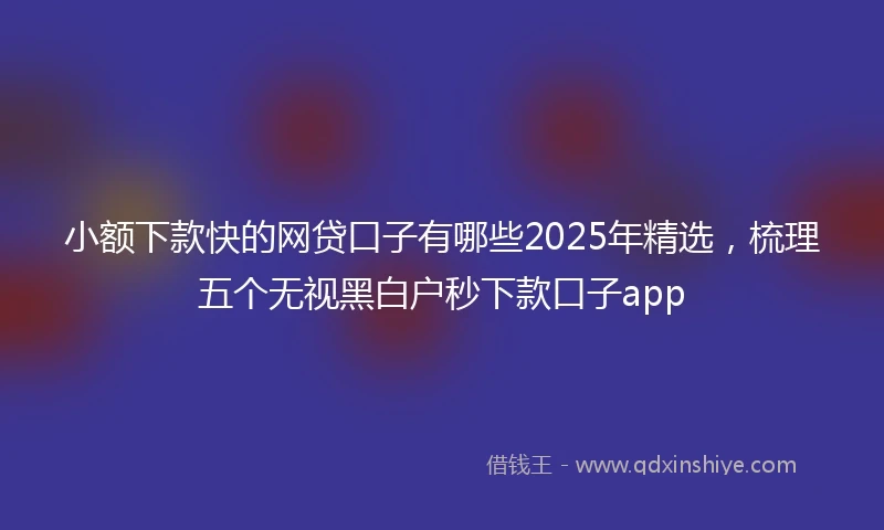小额下款快的网贷口子有哪些2025年精选，梳理五个无视黑白户秒下款口子app