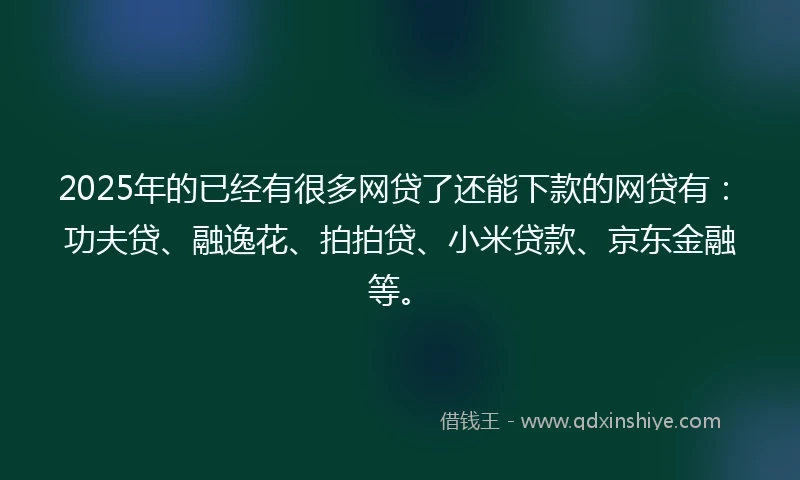2025年的已经有很多网贷了还能下款的网贷有：功夫贷、融逸花、拍拍贷、小米贷款、京东金融等。