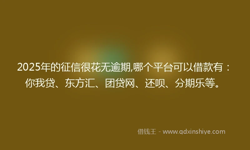 2025年的征信很花无逾期,哪个平台可以借款有：你我贷、东方汇、团贷网、还呗、分期乐等。