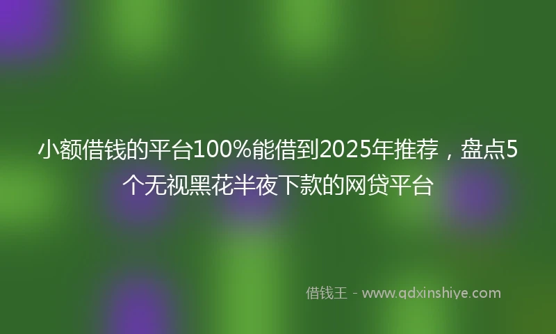 小额借钱的平台100%能借到2025年推荐，盘点5个无视黑花半夜下款的网贷平台