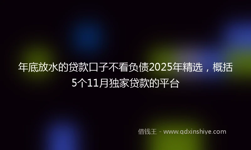年底放水的贷款口子不看负债2025年精选，概括5个11月独家贷款的平台