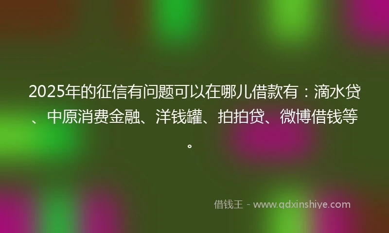 2025年的征信有问题可以在哪儿借款有：滴水贷、中原消费金融、洋钱罐、拍拍贷、微博借钱等。