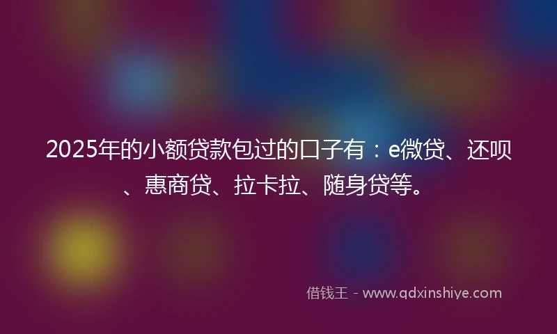 2025年的小额贷款包过的口子有：e微贷、还呗、惠商贷、拉卡拉、随身贷等。