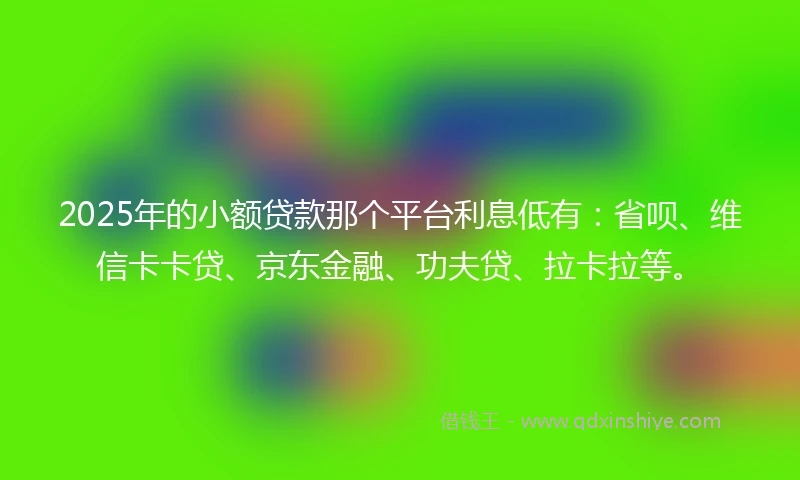 2025年的小额贷款那个平台利息低有：省呗、维信卡卡贷、京东金融、功夫贷、拉卡拉等。